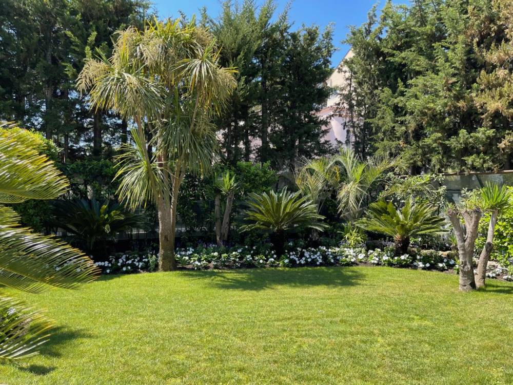 Entretien de jardins près de Fréjus