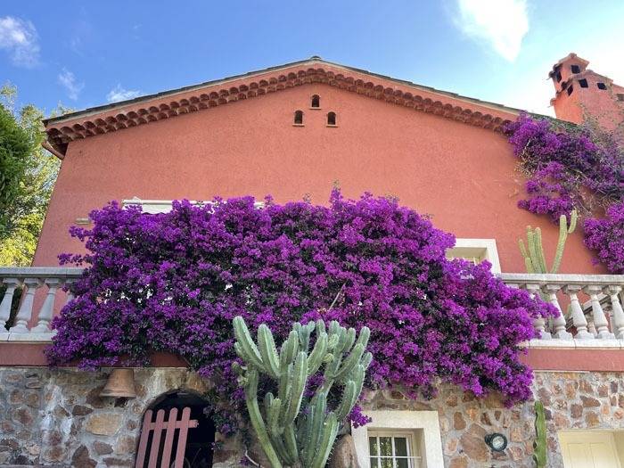 Jardinier près de Fréjus