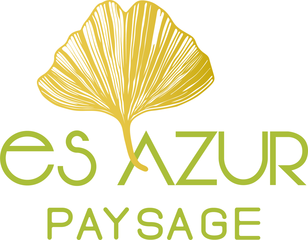 logo ES AZUR 2