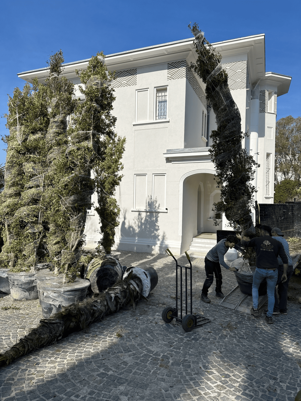 Plantation