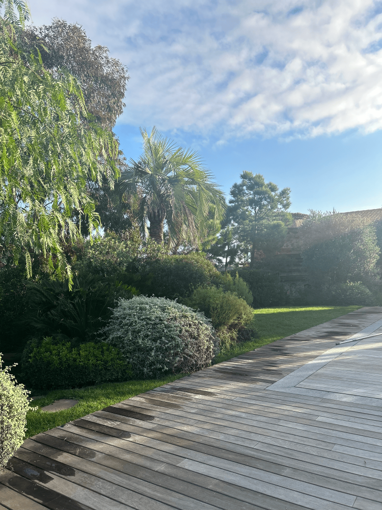 photo accueil plantation (1) (1)