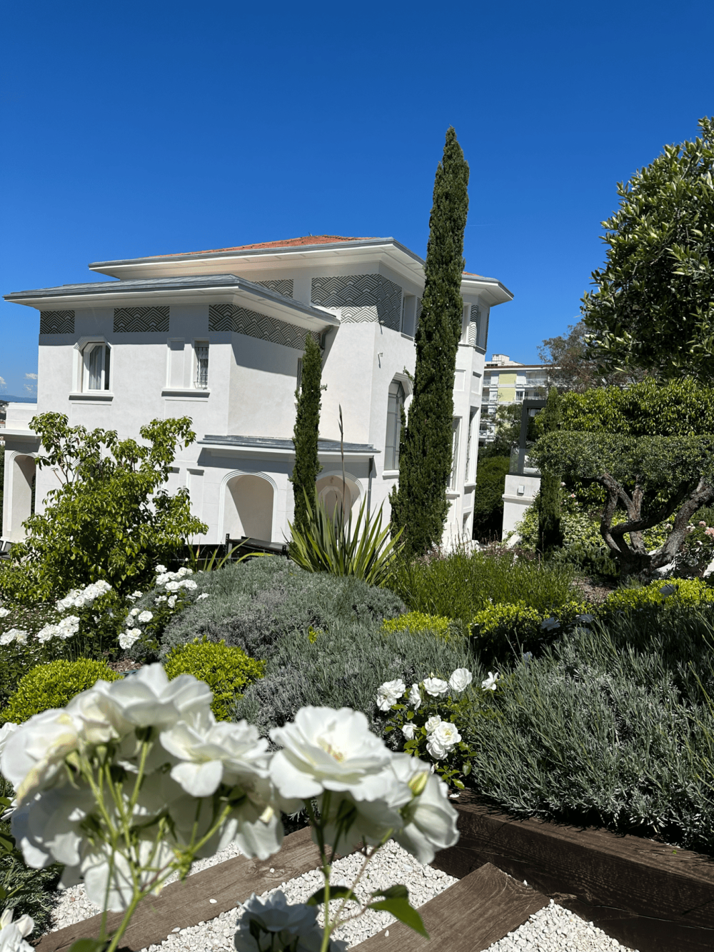 Création de jardin 2