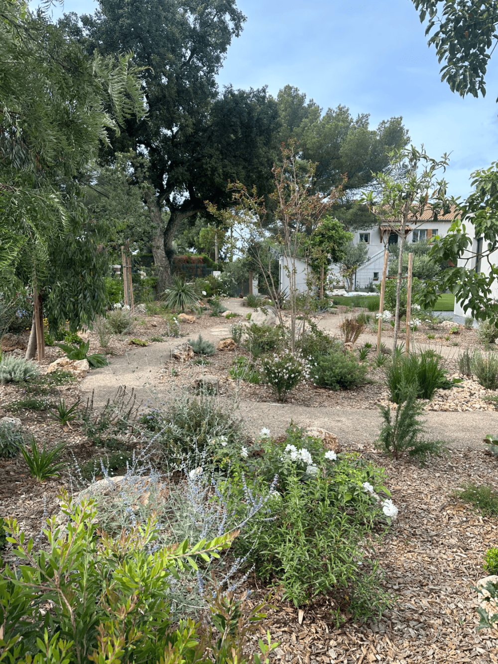 Création de jardin 3