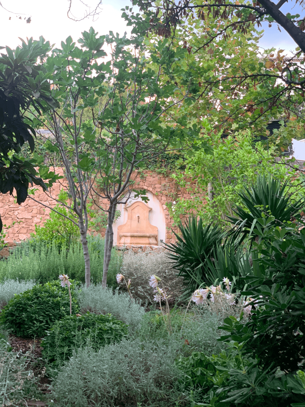 Entretien de jardin 1
